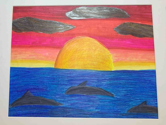 sunset with dolphins in water