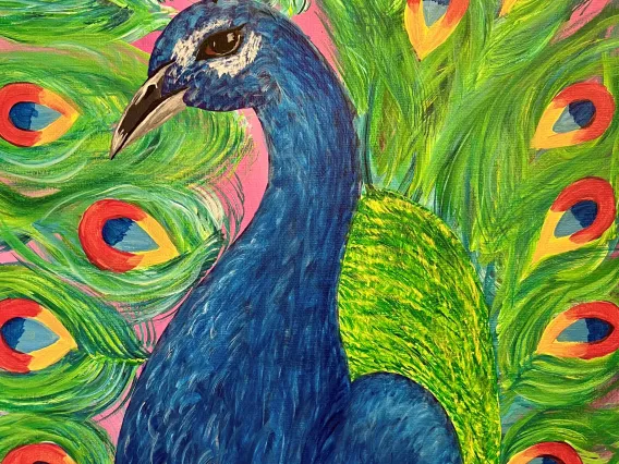 peacock