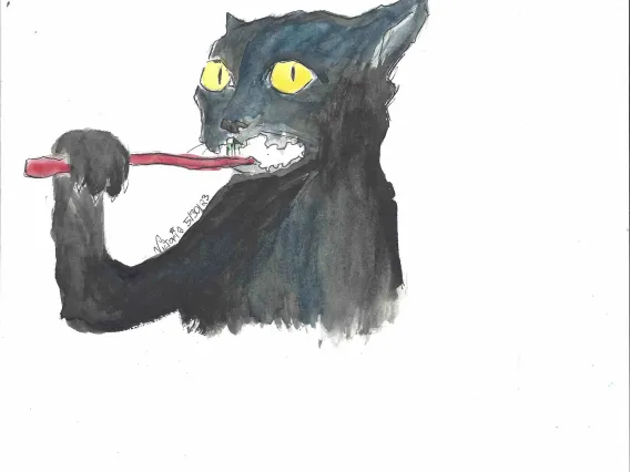 cat brushing teeth