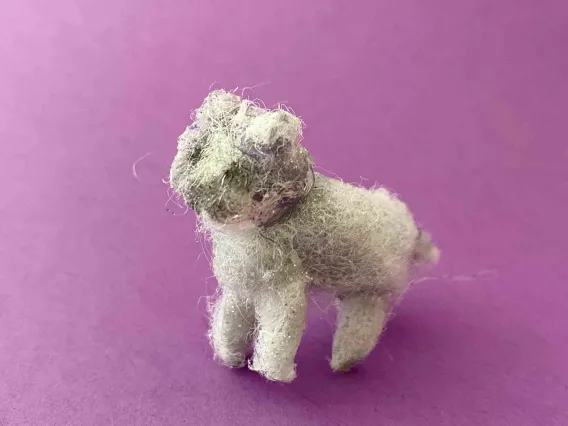 white animal on purple background