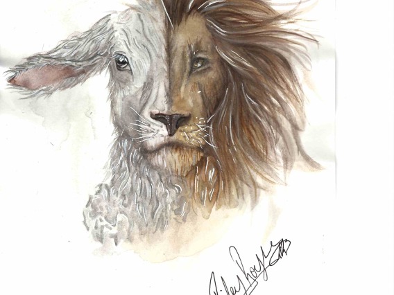 lamb_lion drawing