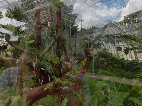 Autoportrait (Jardin des Plantes, Nantes)