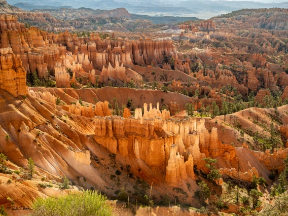 Morning Light at Sunset Point, Bryce Canyon UT