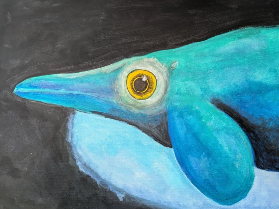 Opty the Ophthalmosaurus