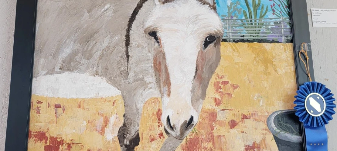1st Intermediate_ _My Sweet Little Donkey, _Mario__ by Sue Chacon, College of Veterinary Medicine.jpg
