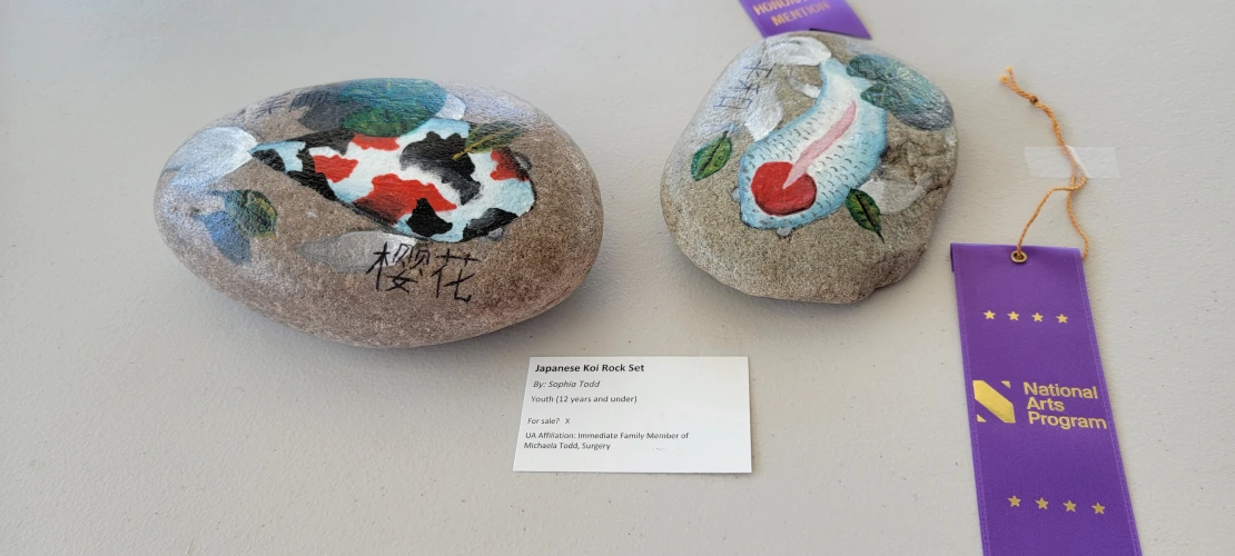 Honorable Mention_ _Japanese Koi Rock Set_ by Sopia Todd, Family of Michaela Todd, Surgery.jpg