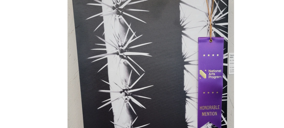 Honorable Mention_ _Saguaro Ribs and Needles shadow study in B&W_ by Sarah Moore, Tech Launch Arizona.jpg