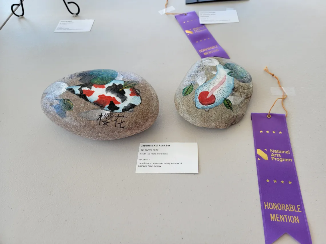 Honorable Mention_ _Japanese Koi Rock Set_ by Sopia Todd, Family of Michaela Todd, Surgery.jpg