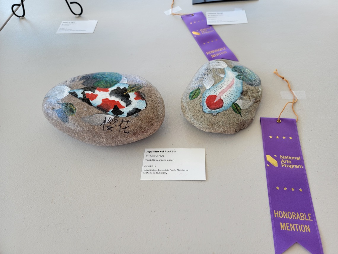 Honorable Mention_ _Japanese Koi Rock Set_ by Sopia Todd, Family of Michaela Todd, Surgery.jpg