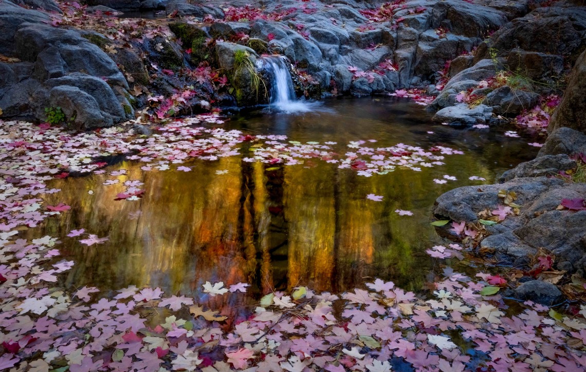 waterfall and leaves photo