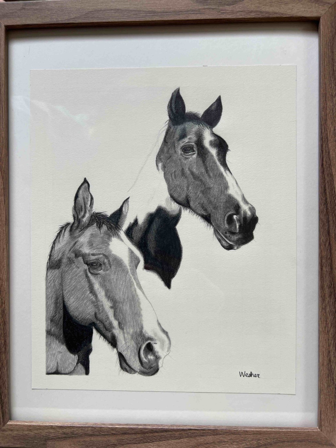 two horses drawing