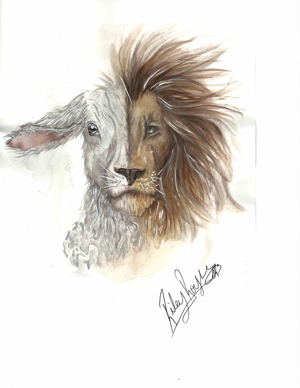 lamb_lion drawing