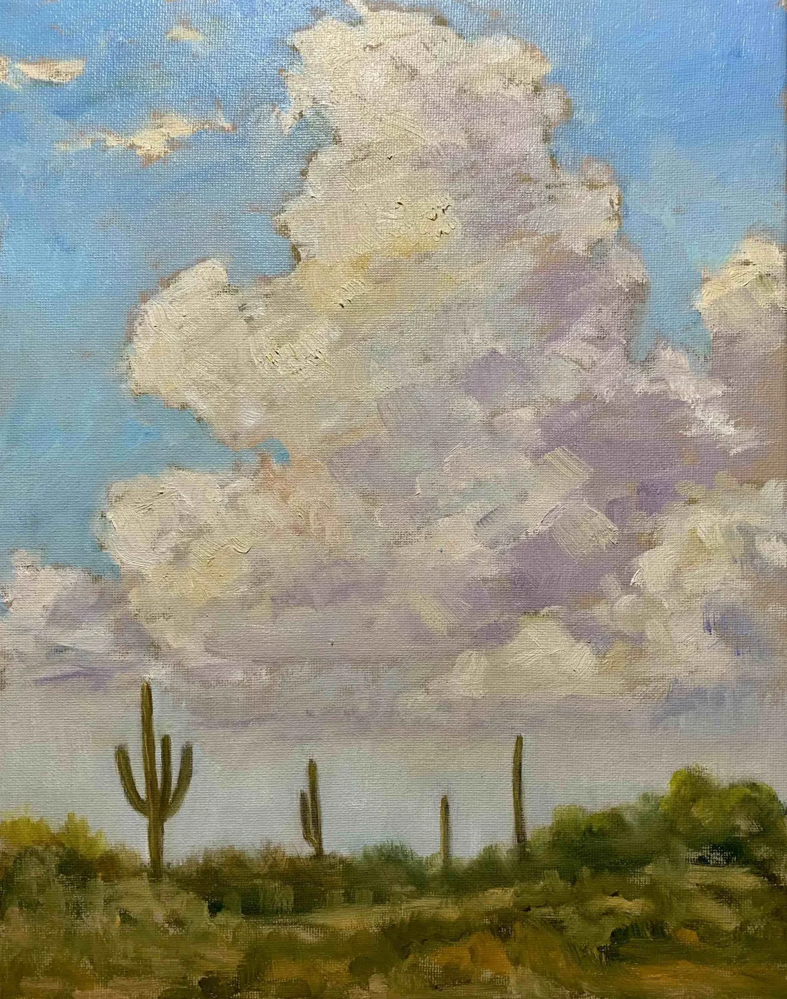 landscape with cactus