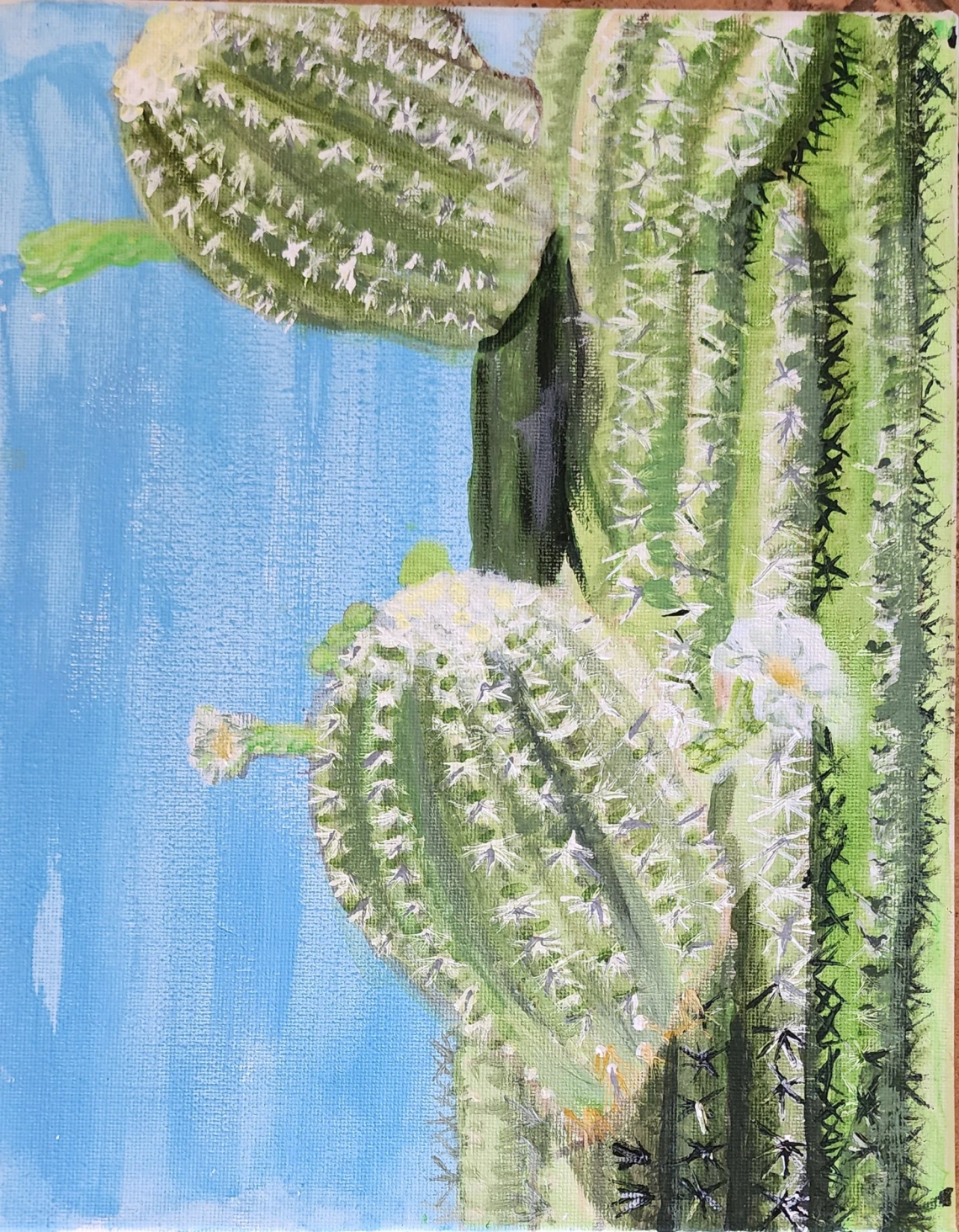 Blossoms of Saguaro