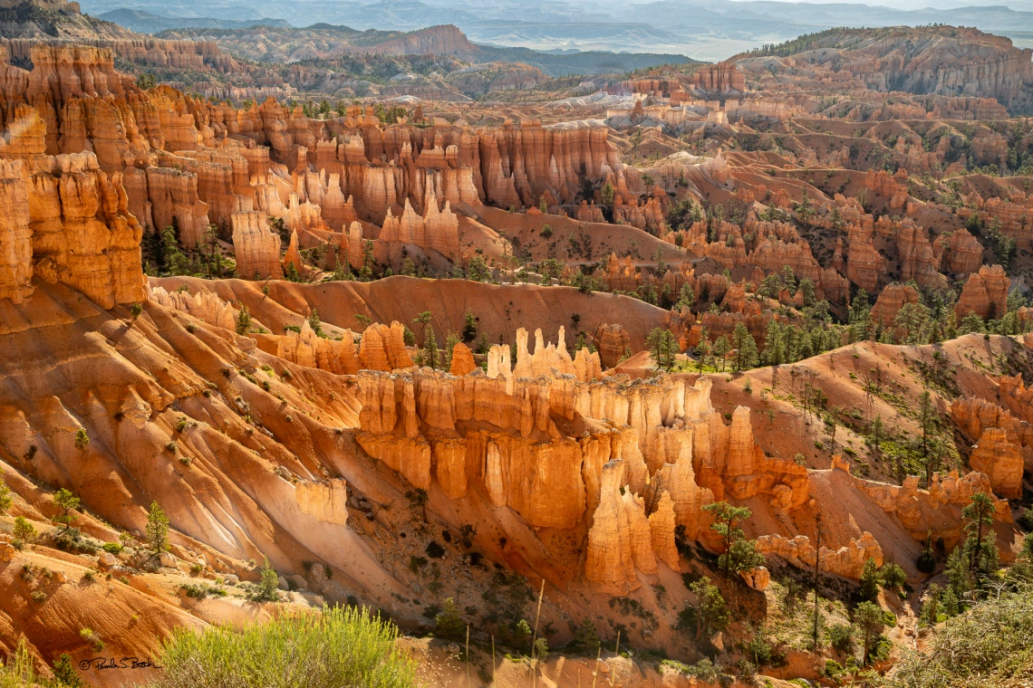 Morning Light at Sunset Point, Bryce Canyon UT