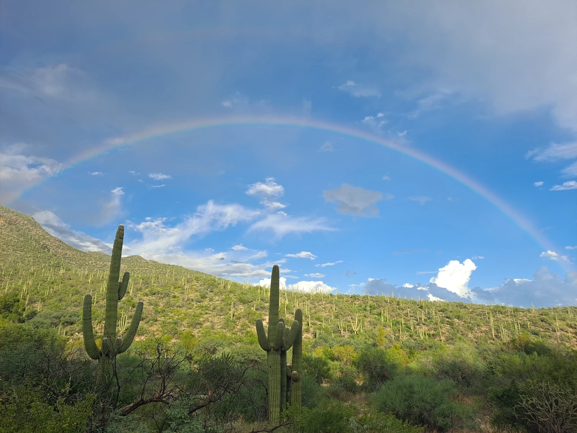 Monsoon Season