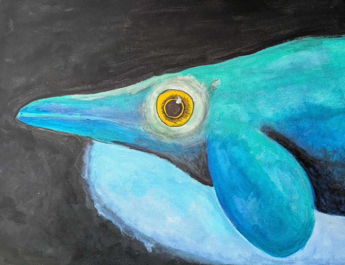 Opty the Ophthalmosaurus