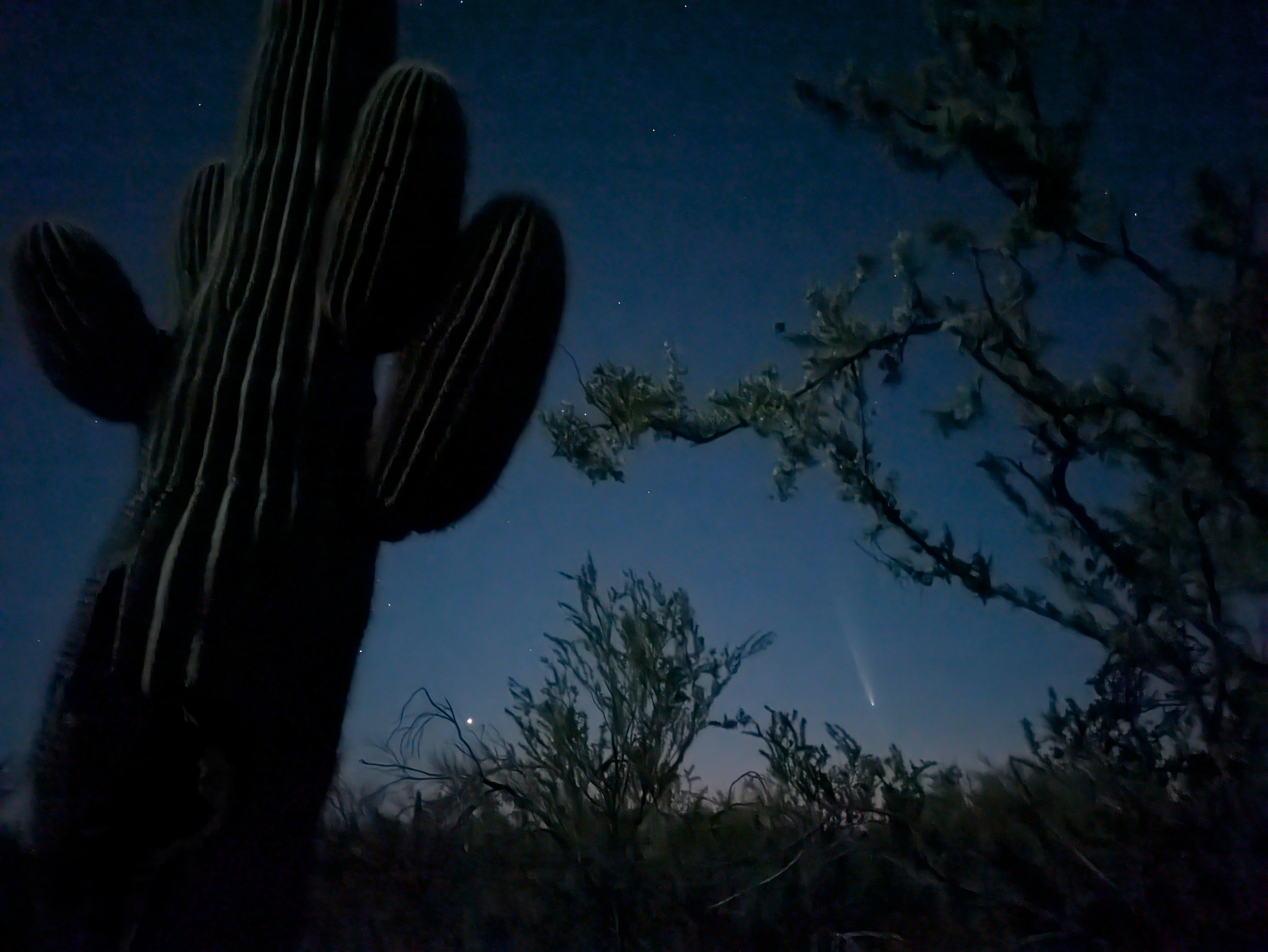 See you again in 80,000 years