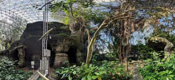 Biosphere 2 Rainforest